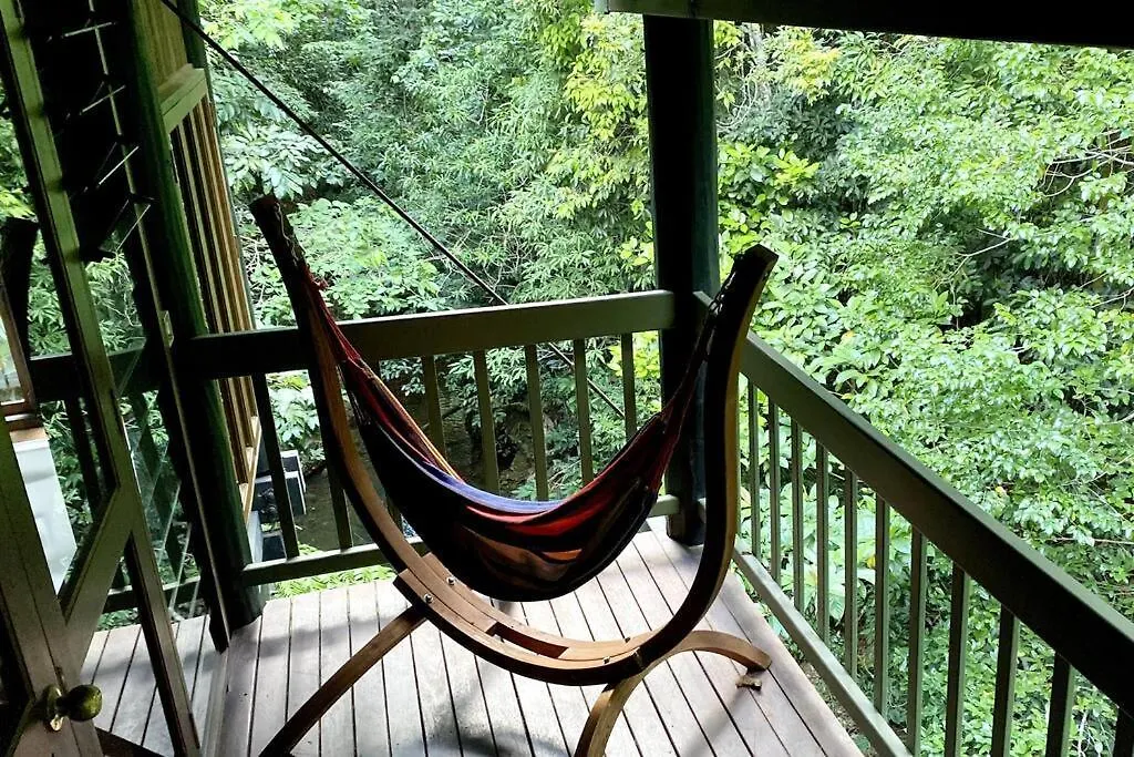 Butterfly Bend - 3 Bedroom Daintree Beach House Cow Bay 0*,  Australia
